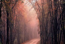 [图]国足众将积极备战日本 主帅伊万表情严肃.