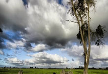 巅峰国际官网：山东高速男篮：积极备战 全力迎接挑战.