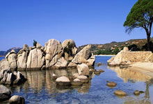 巅峰国际官网：轮滑风驰黄浦江，上海“滑”出新高度.